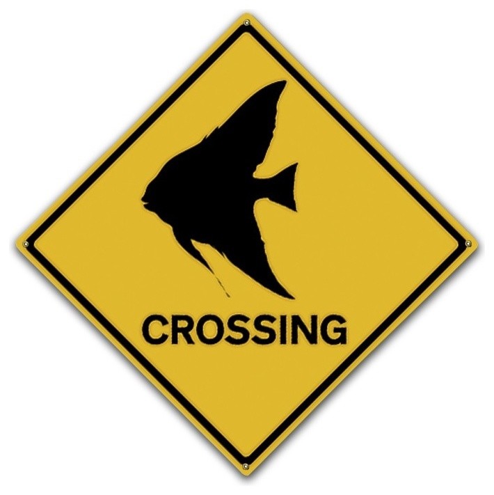 Angel Fish Crossing, Classic Metal Sign