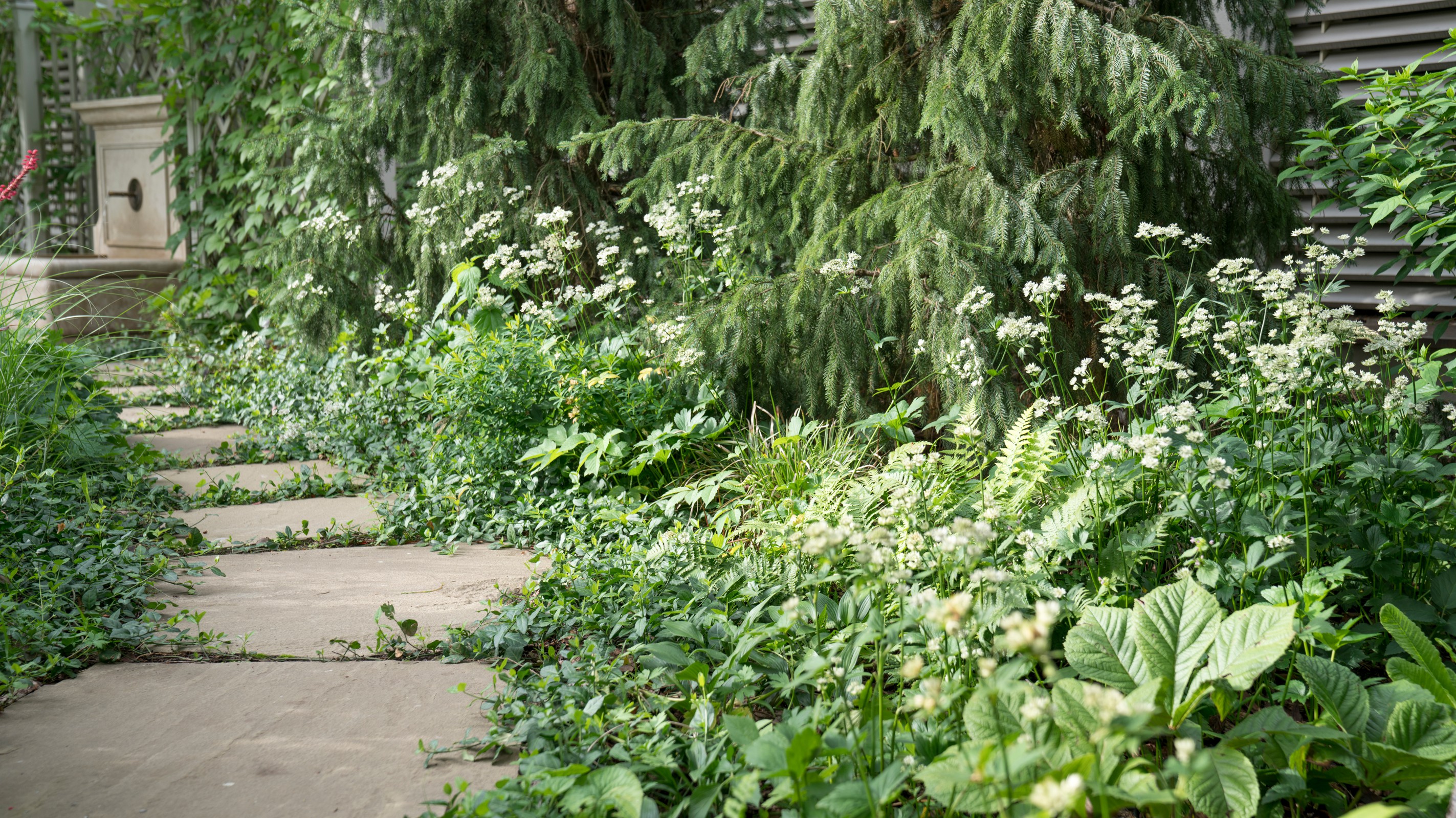 Очарование английского сада КП Балтия 2018 г