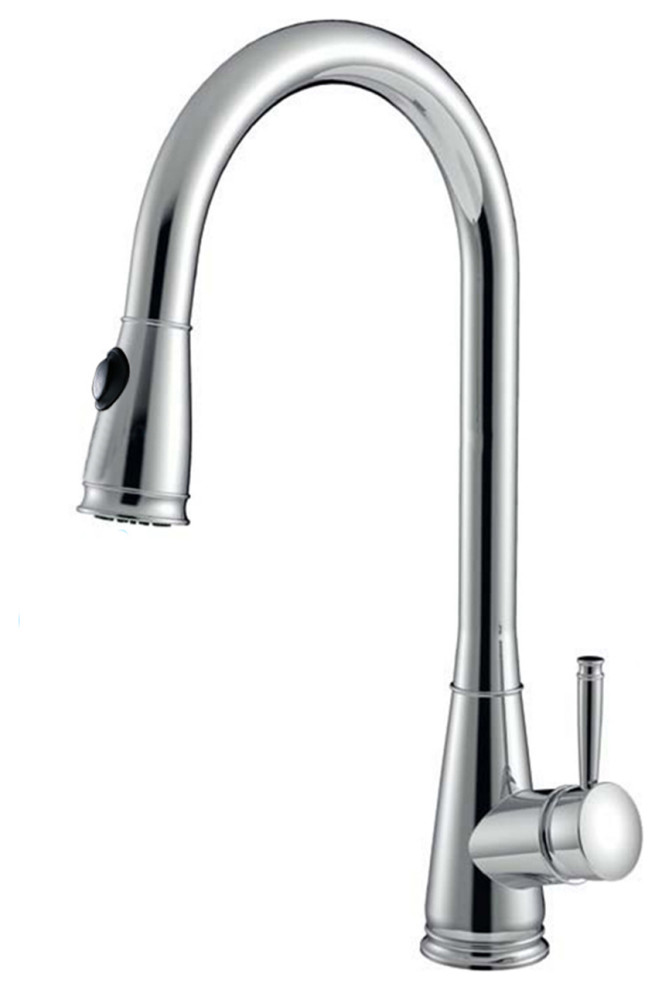 Wellfor Single Handle High Arc Pull out Kitchen Sink Faucet