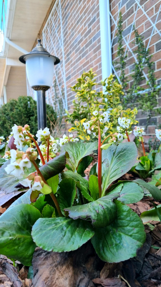 Реализация проекта "Французский дворик"