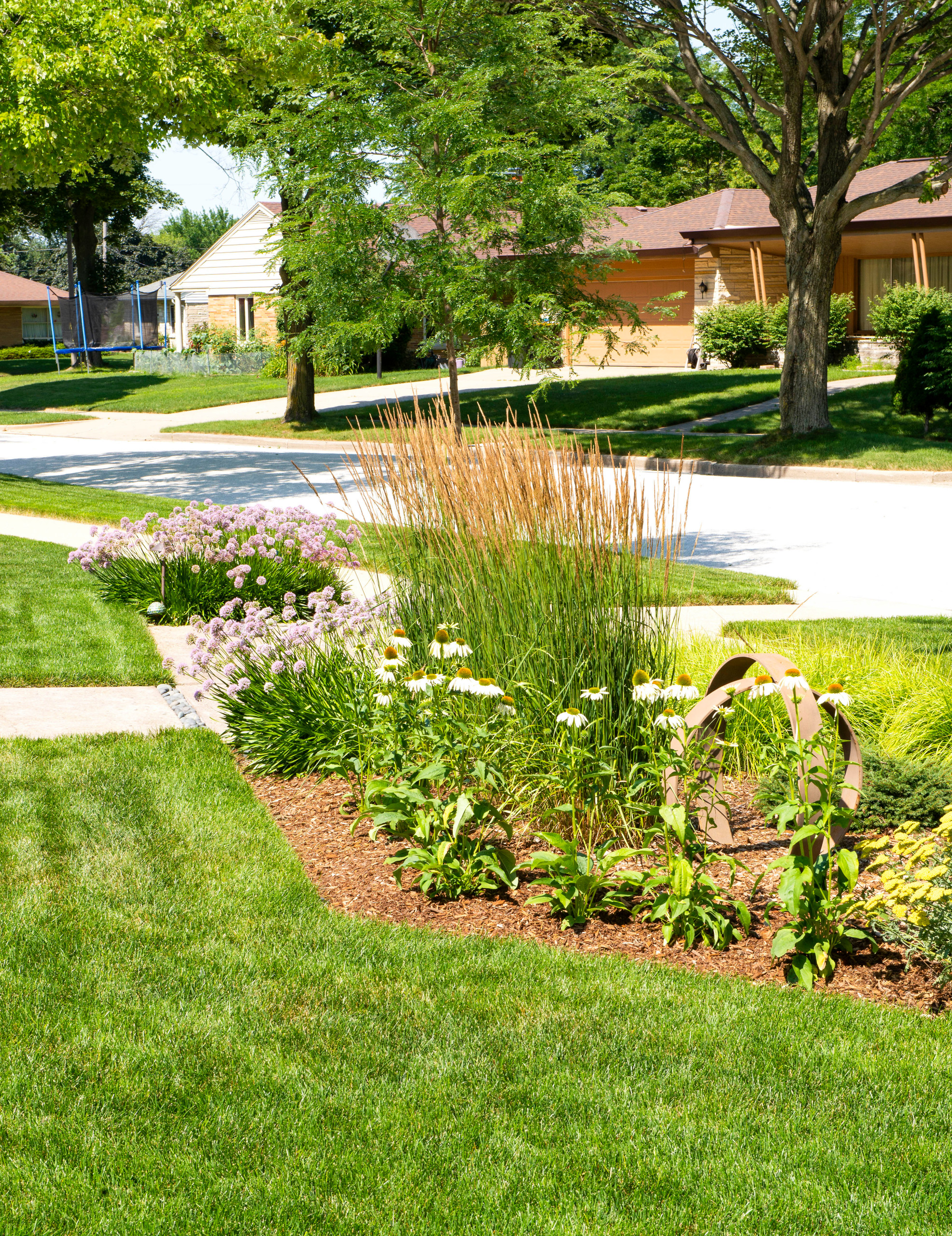 Mid-Century Mollica Front Landscape - Wauwatosa