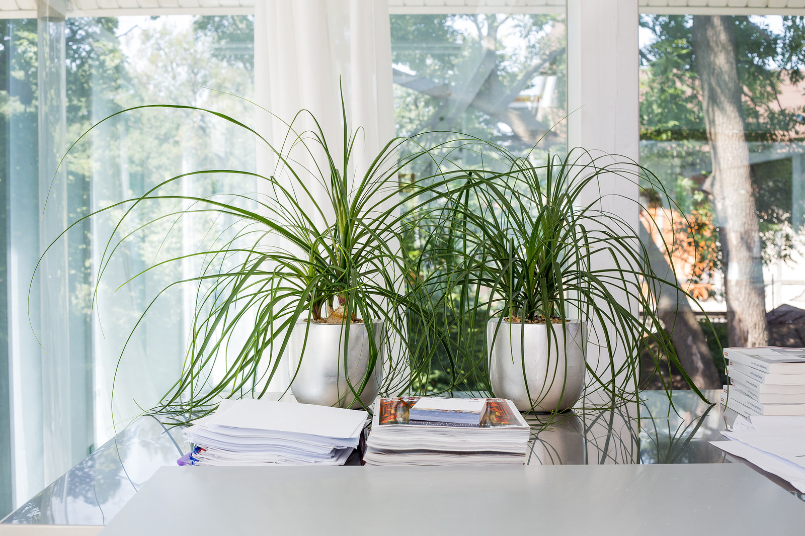 Частный интерьер, загородный дом