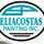 Eliacostas Painting & Drywall