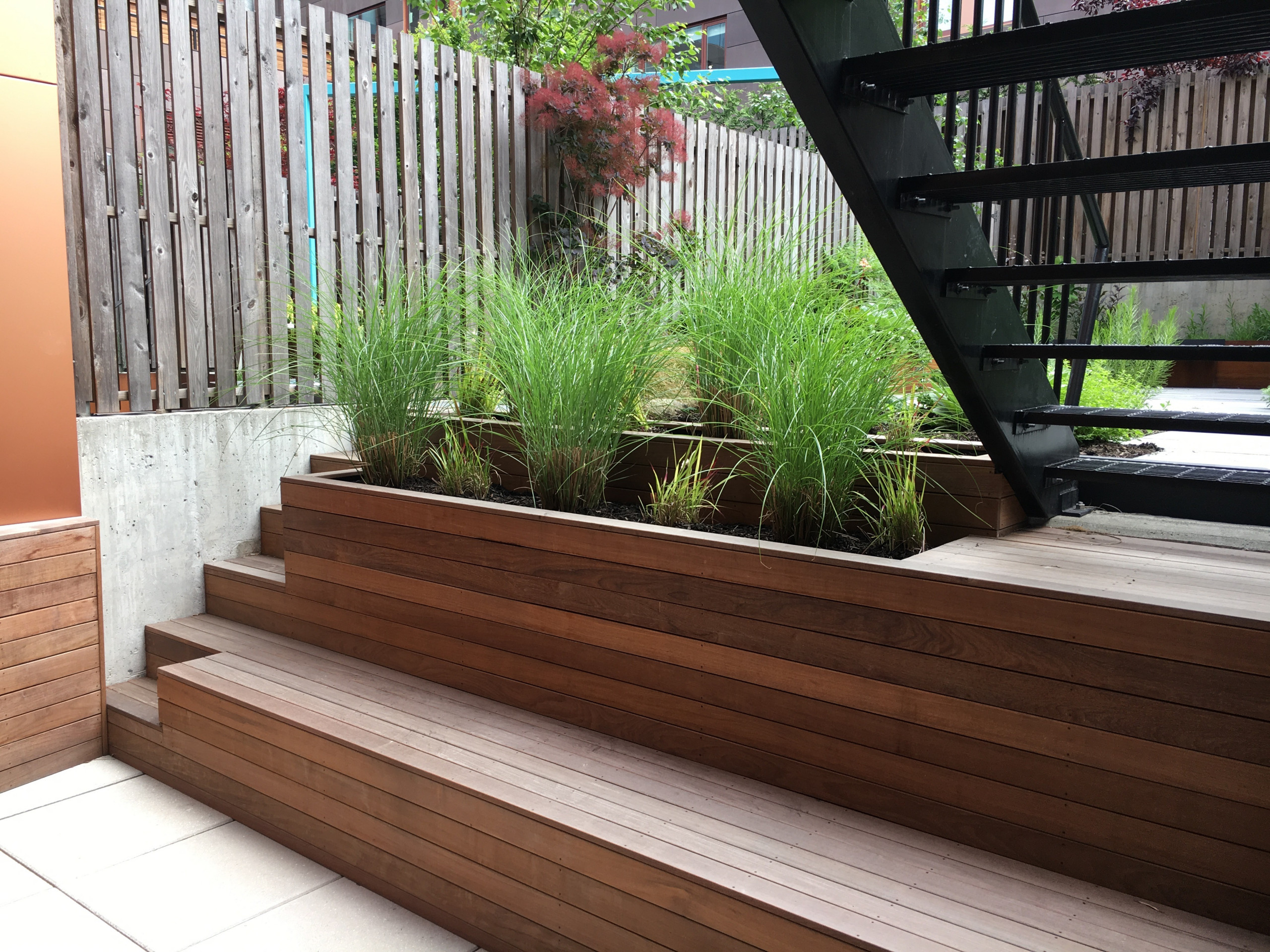 Modern Garden with Curved Corten Border