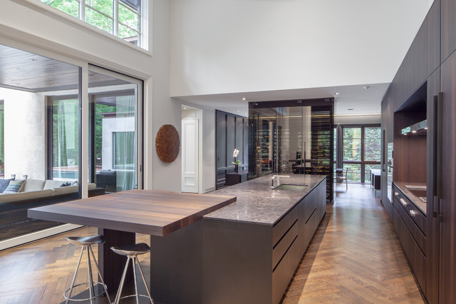Spring Road contemporary-kitchen