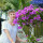 webuser_348825657