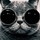 adrian_popescu77