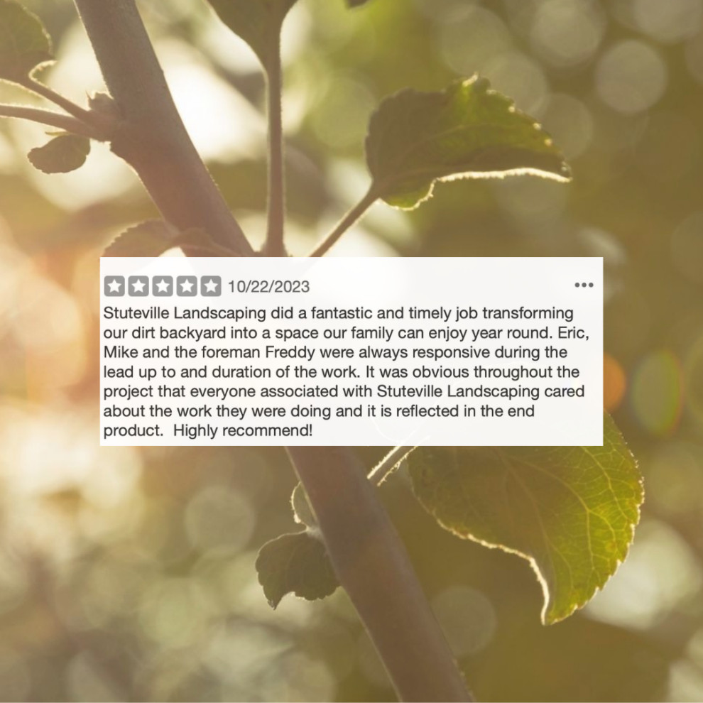 Reviews