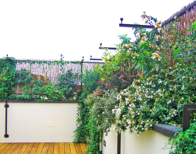 Terrazza e serra trendy-terrasse