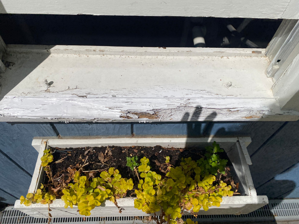Window Soffit Repair