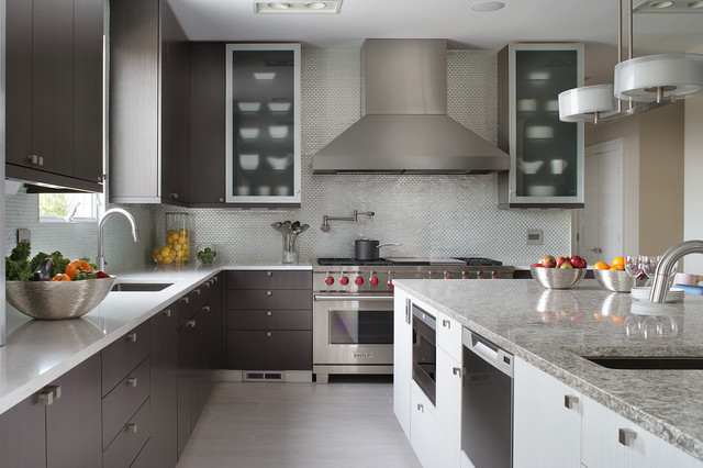 Contemporary Kitchen trendy-koekken