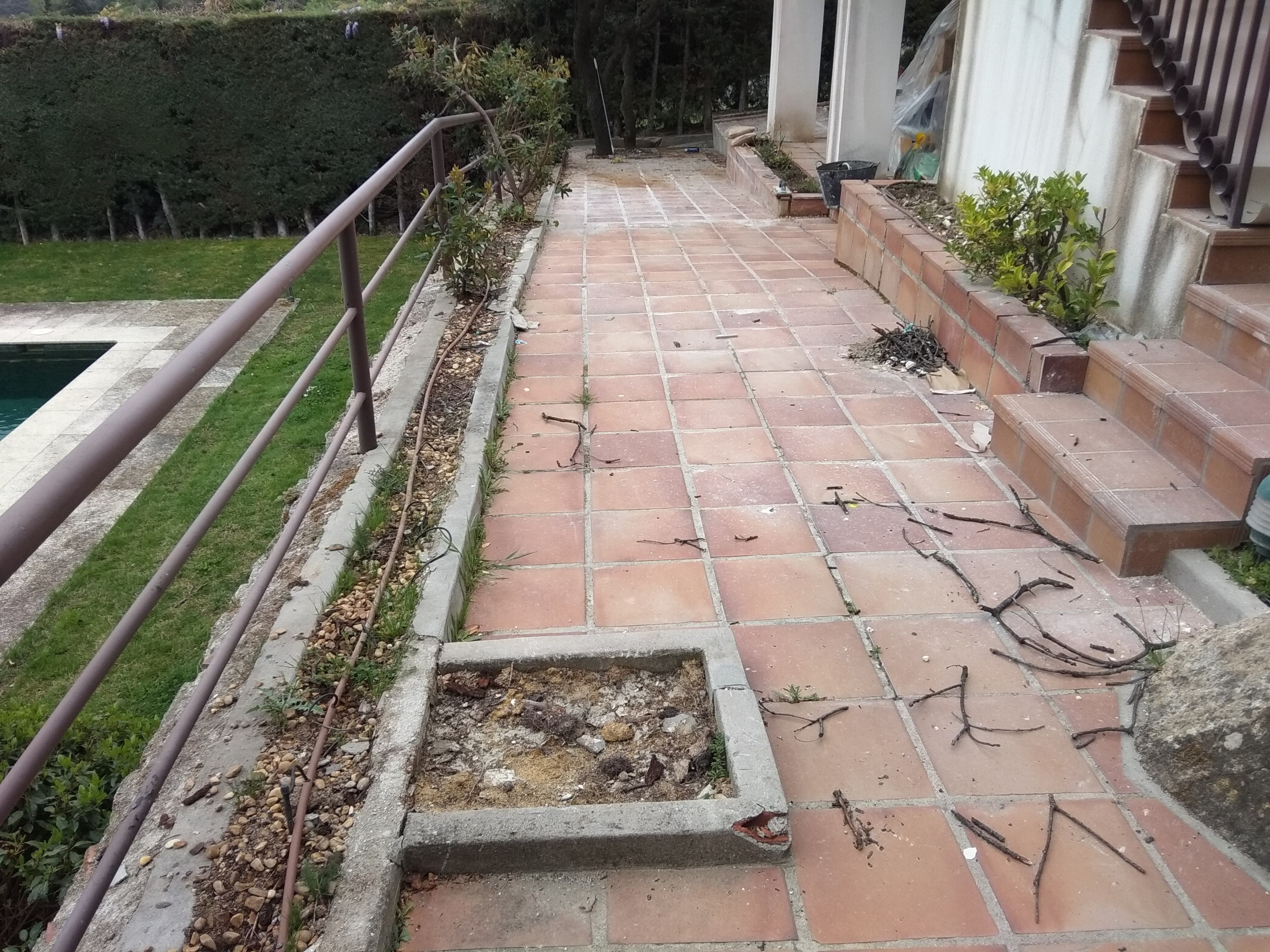 Dando color a viejos jardines