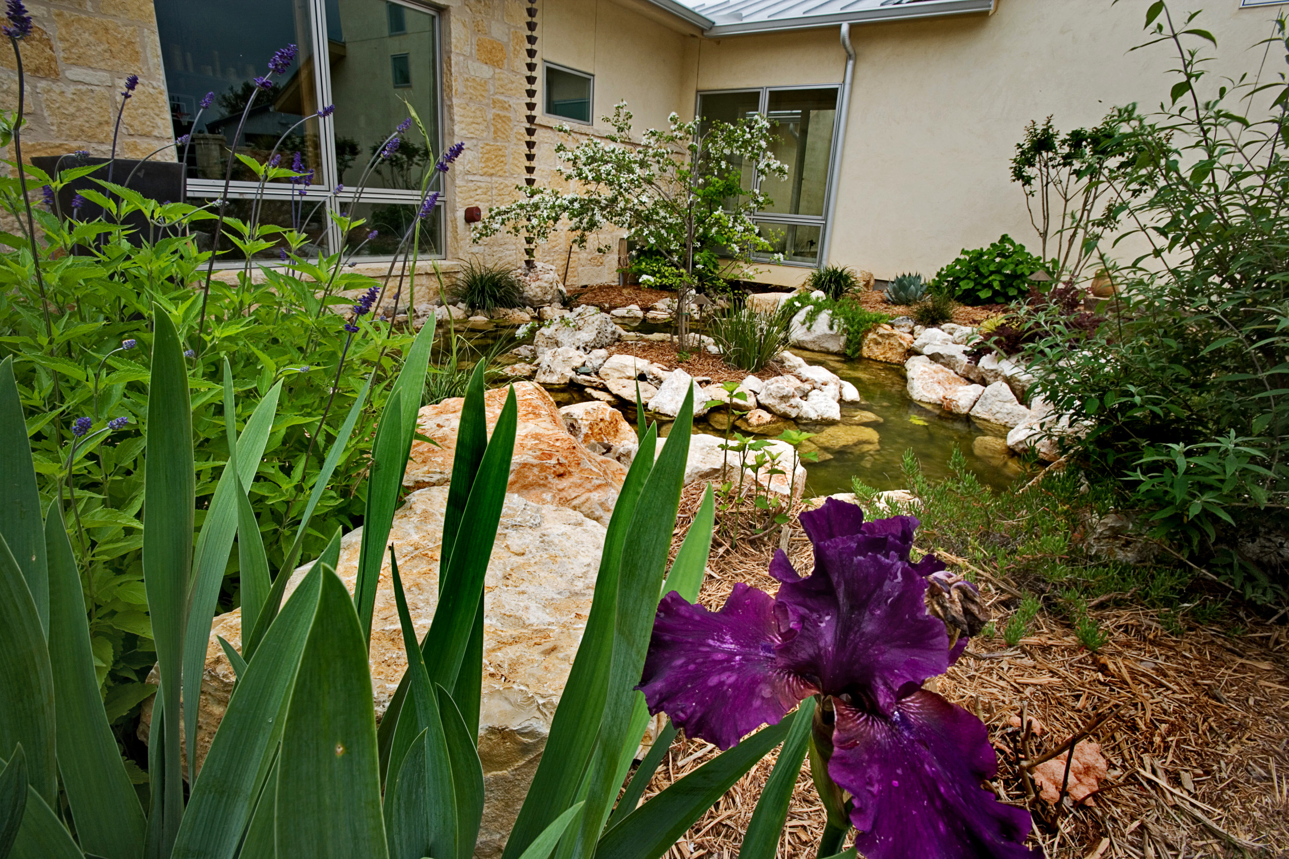 Cordillera Ranch/Boerne Rustic Modern Pool/Spa/Outdoor Living