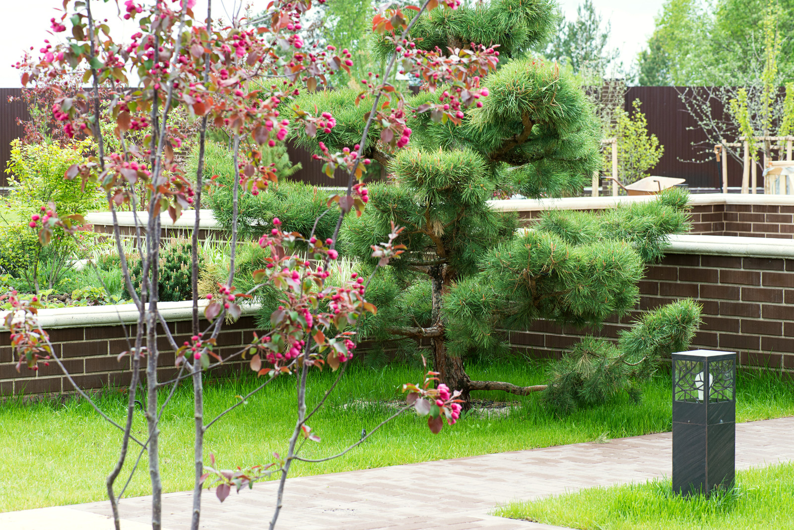 Первая весна в саду "Красный октябрь"