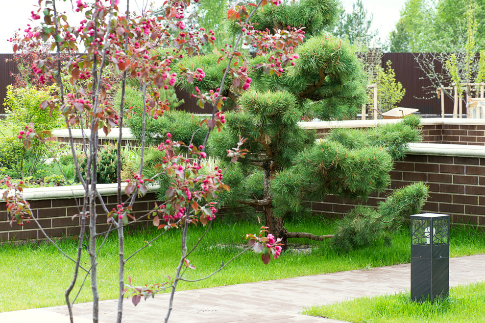 Первая весна в саду "Красный октябрь"