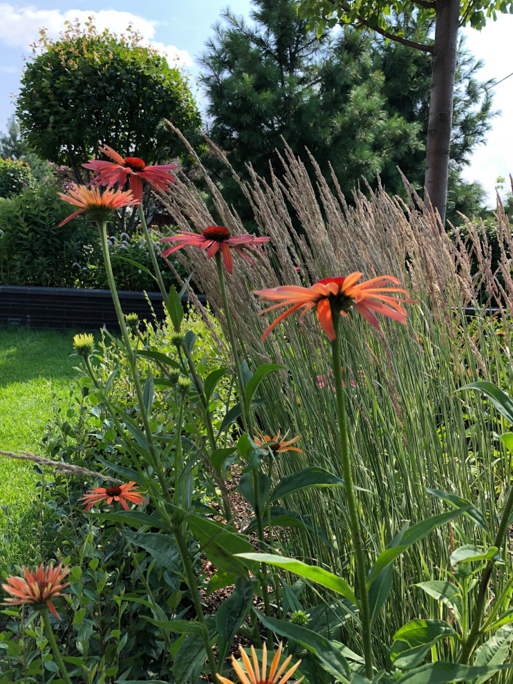 Счастливый сад