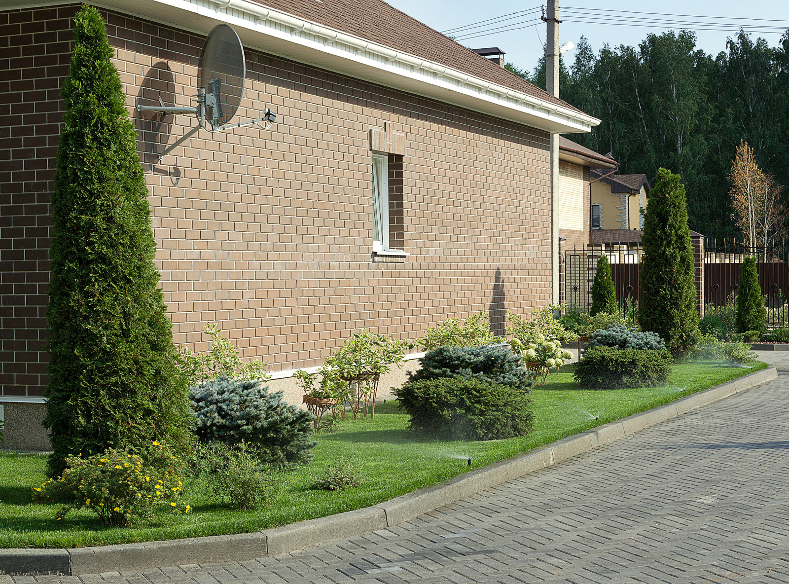 Вавиловец 1