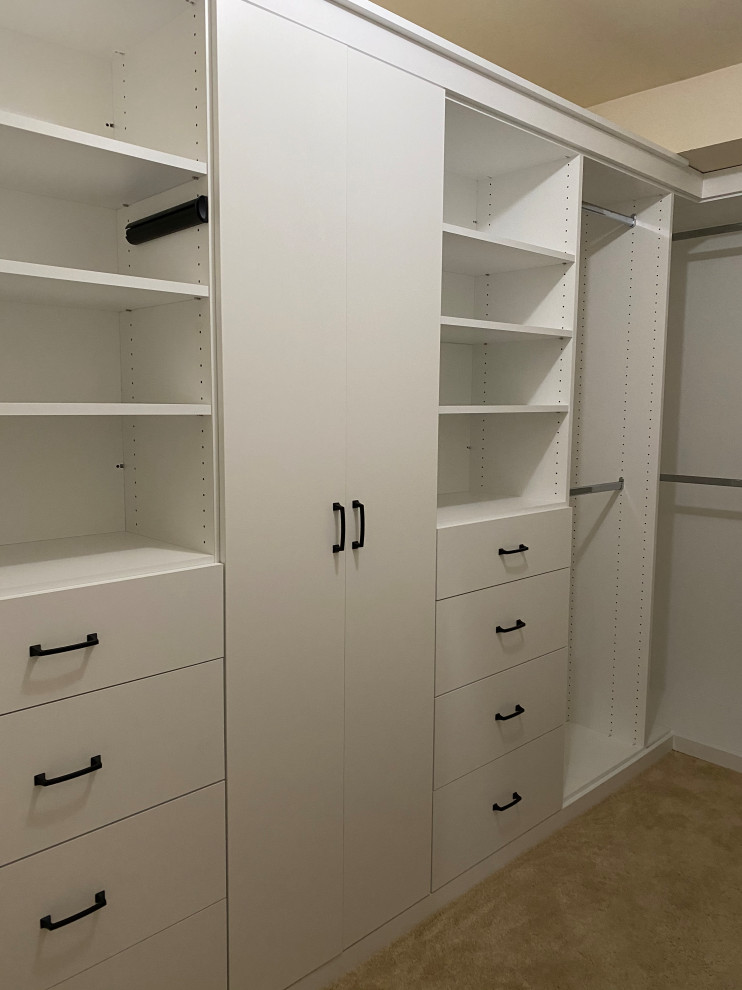 Идея дизайна: встроенный шкаф среднего размера в стиле модернизм