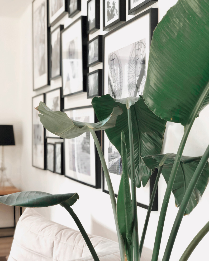 Modernes Wohnzimmer mit Boho Elementen