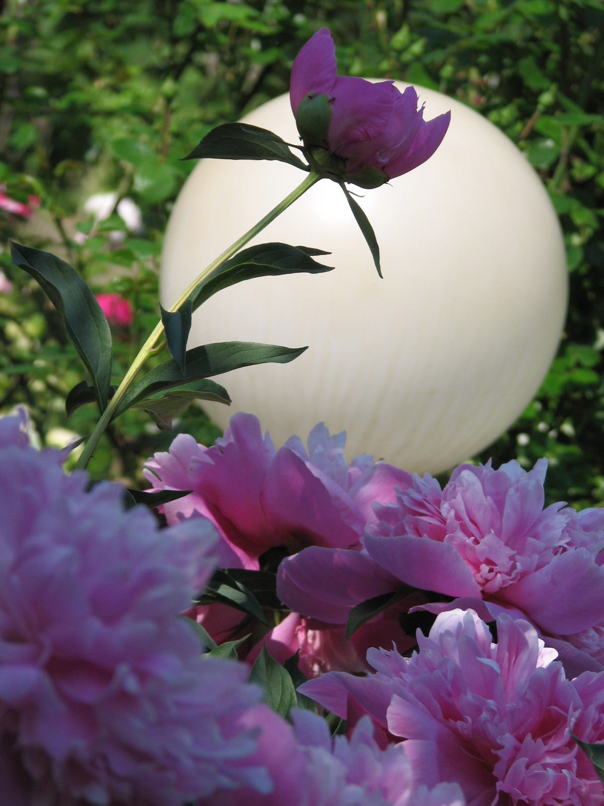 Вписываясь в природу