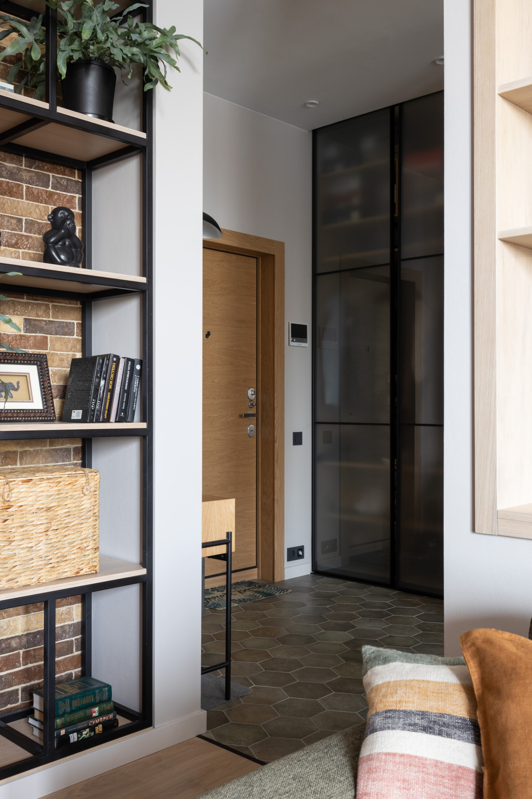 квартира с попугаями