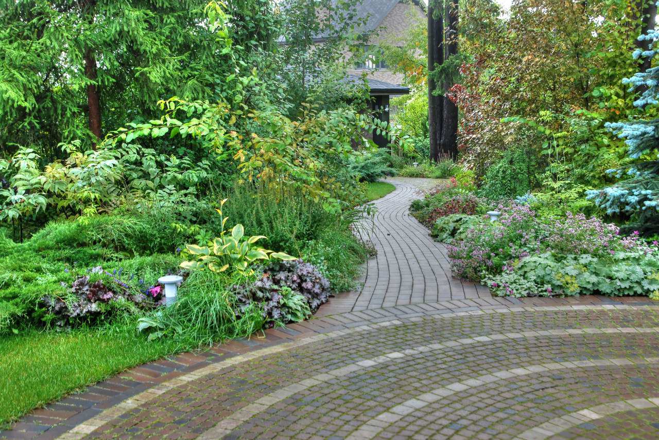 дорожка идущая в душевнй сад