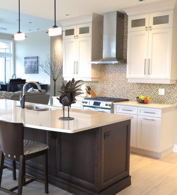 Other Kitchens - Merit transitional-kitchen