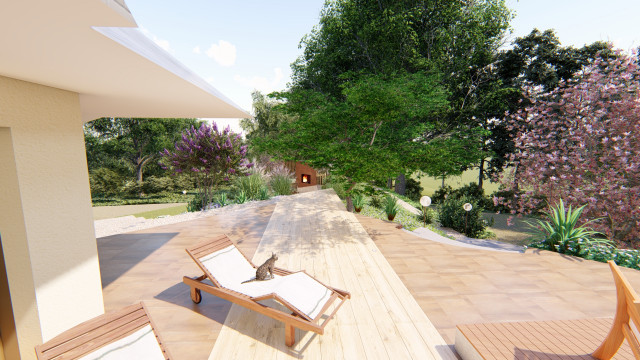 Sous-bois - Montage 3D 