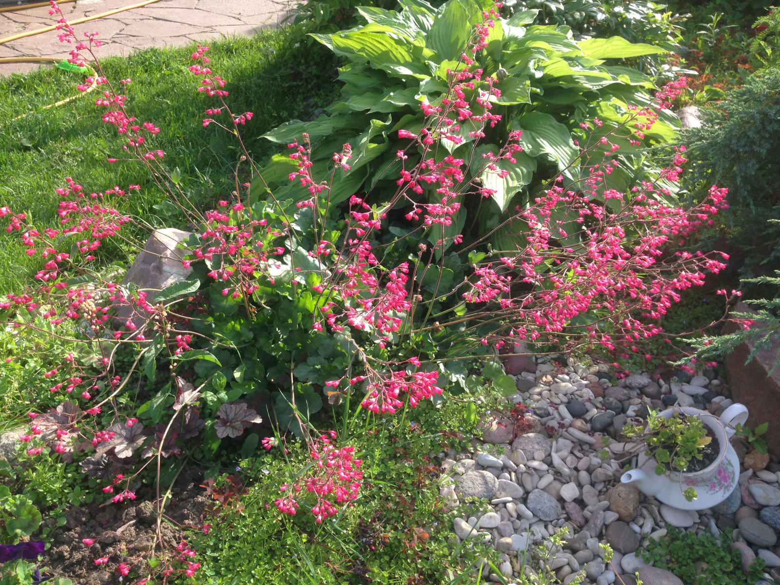 Весёлая деревня