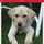 tracy_donnellymclaughlin