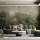 Bobbi Beck