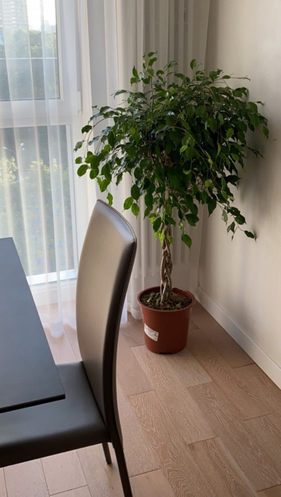 Декорирование частных квартир