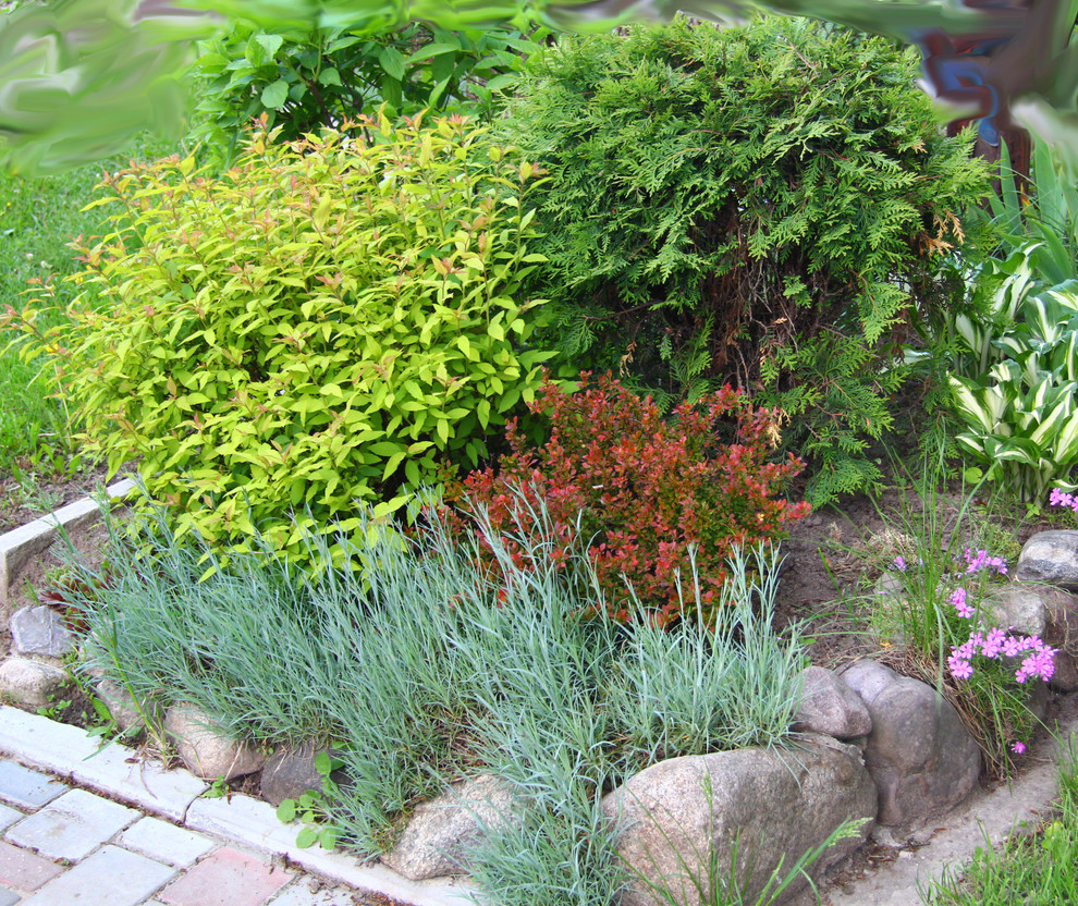 Наш сад / Our garden