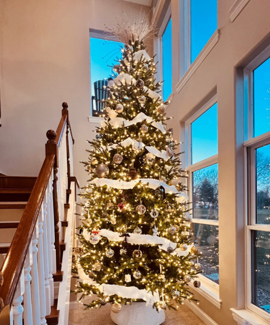 Houzz Readers Share Their Christmas Trees