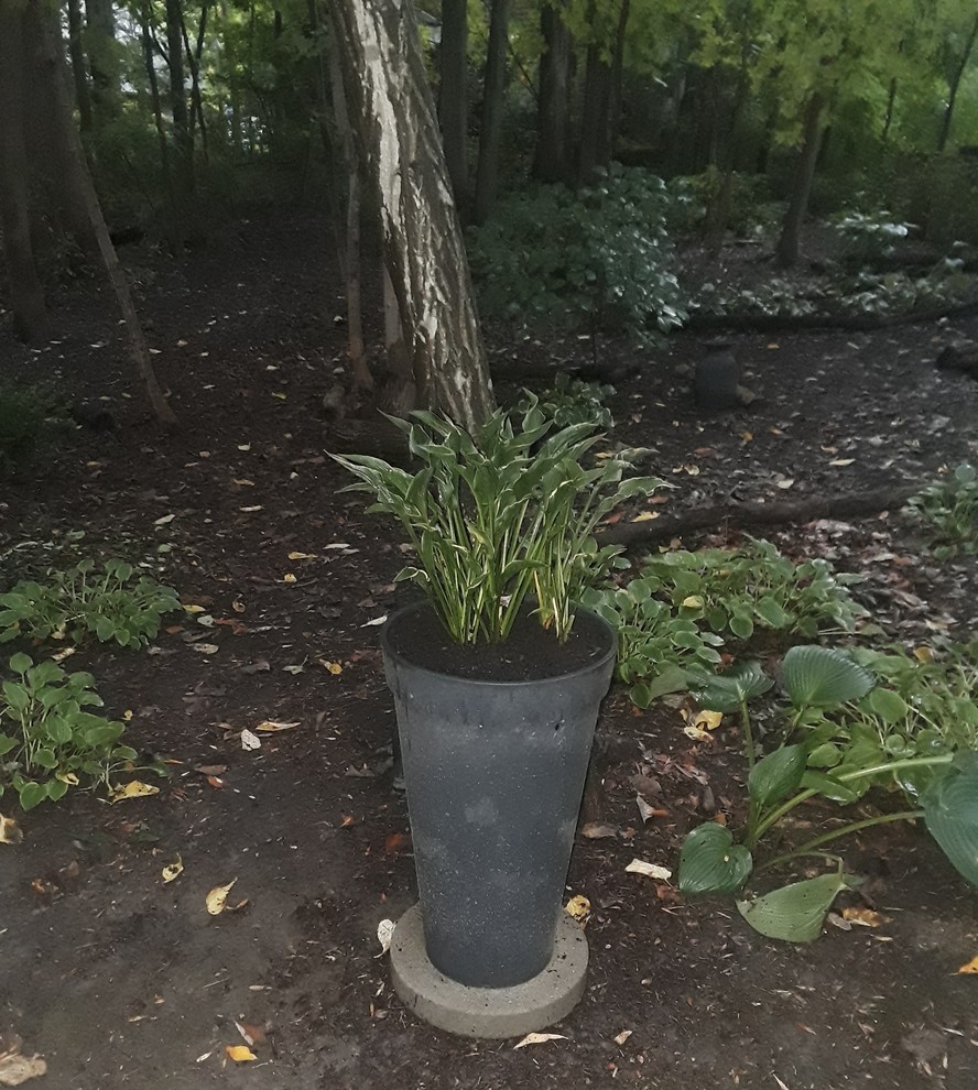 Problem Pot my problem pots have been planted..