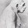 scott_bruno