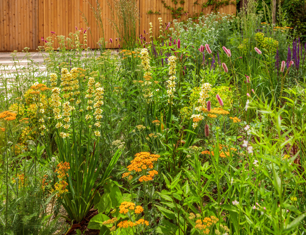Foto di un giardino design esposto in pieno sole di medie dimensioni e davanti casa in primavera con pavimentazioni in pietra naturale e recinzione in legno