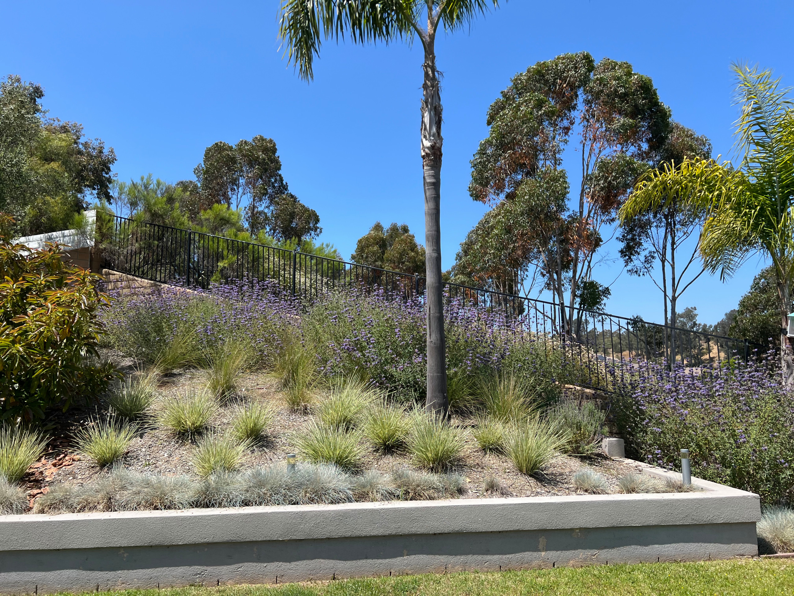 Modern Scripps Ranch Living