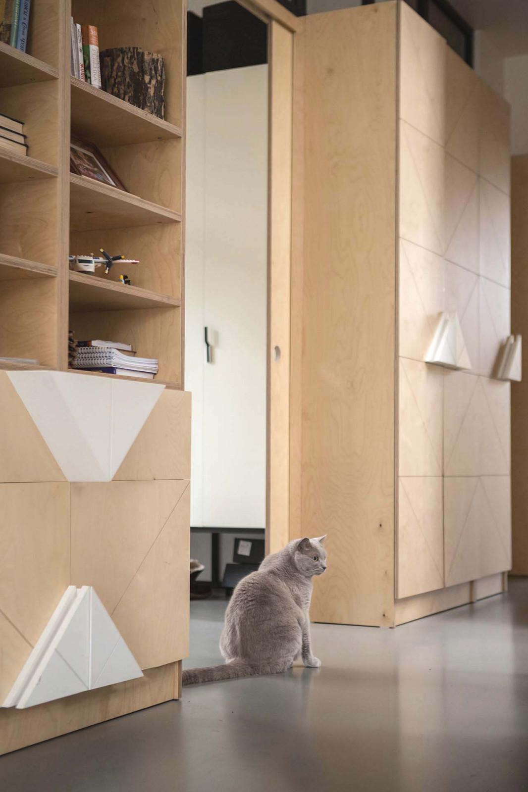 Вид в сторону прихожей