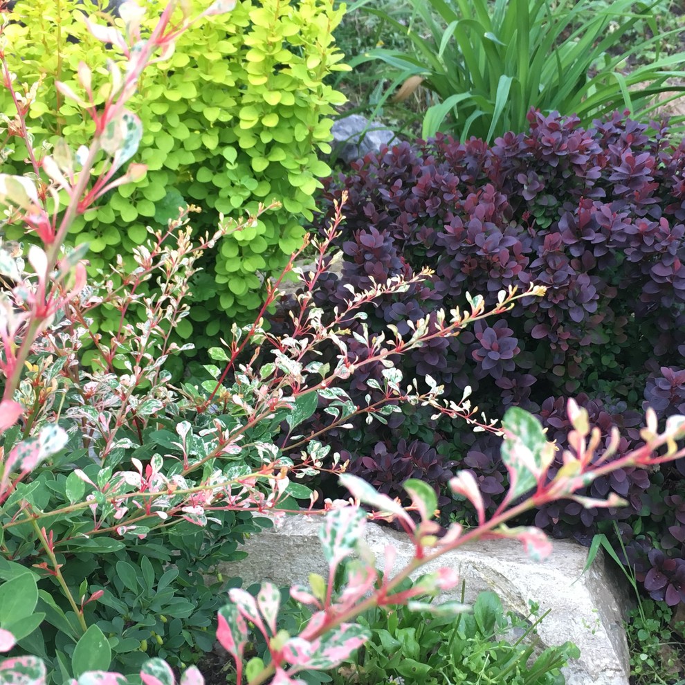 Реставрация старинного сада в калужской области