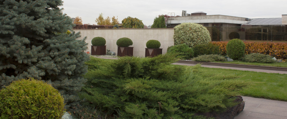 Большой сад на крыше