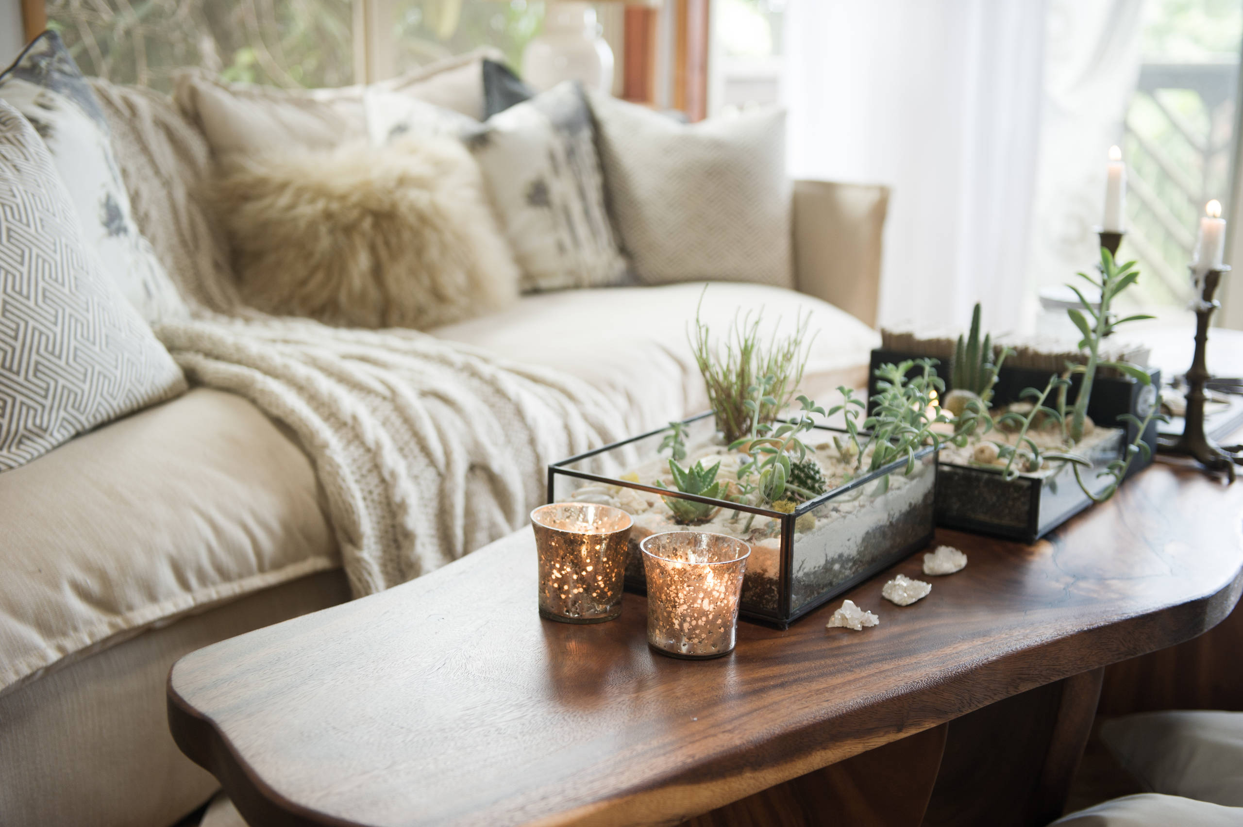 How to Create an Indoor Oasis (In the Dead of Winter) | Houzz NZ