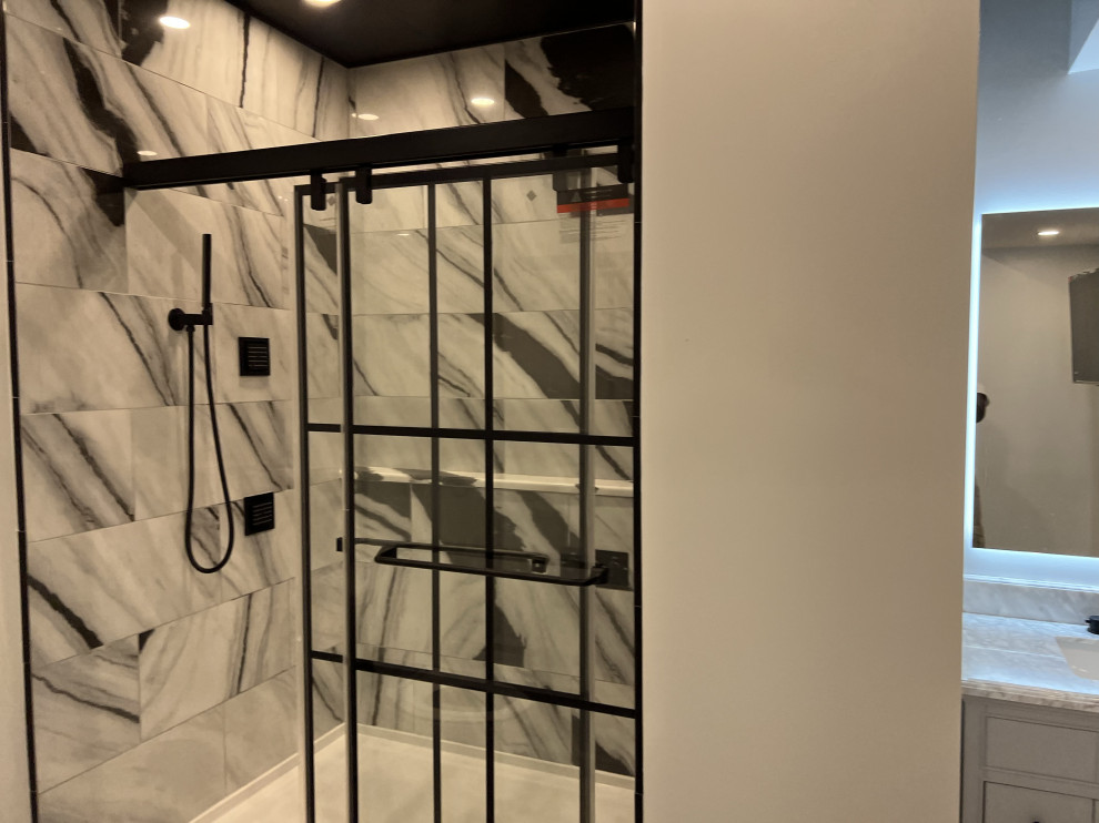 Basement Remodel