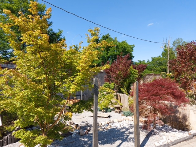 Giardino zen