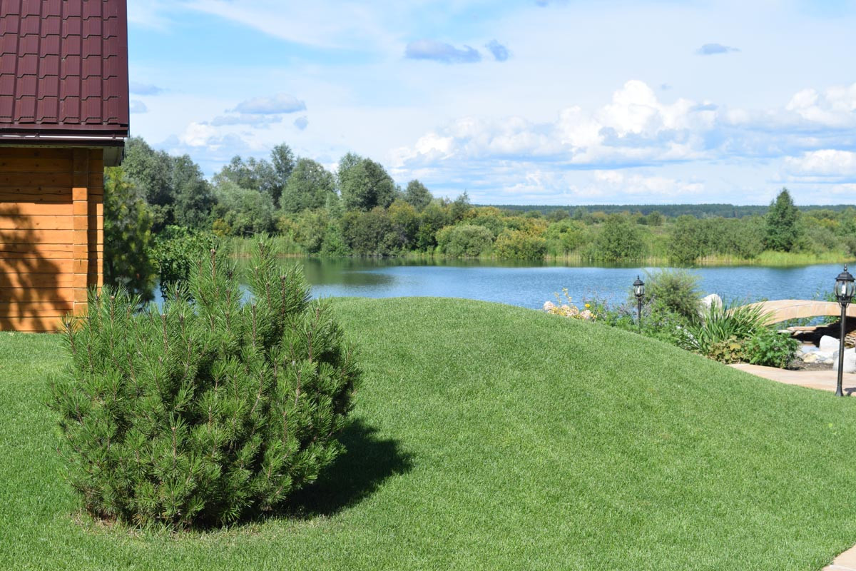 "Дом у озера"