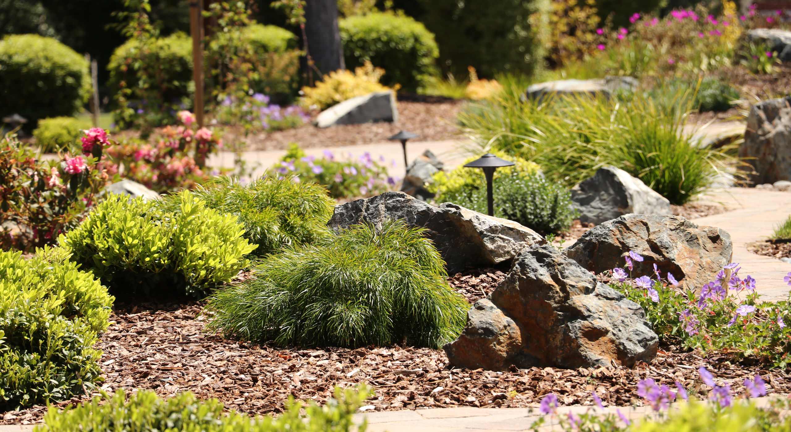 FRONT YARD WITH TREES AND DRY-CREEK