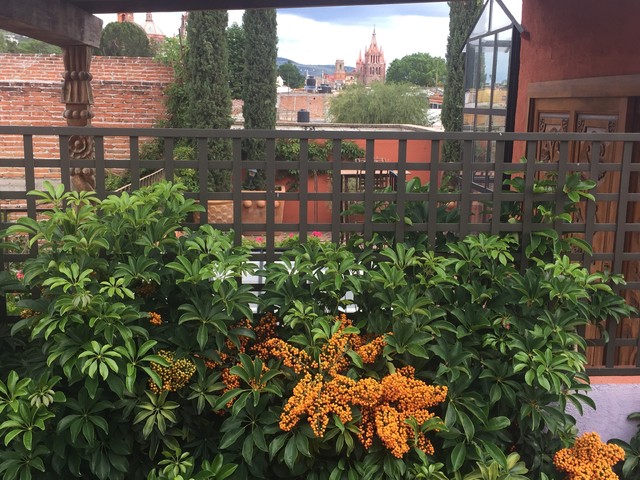 Casa Malinali sudoeste-terraza-y-balcon