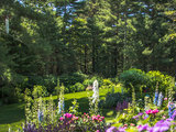 Landscape by Charlie & Sons Landscapes