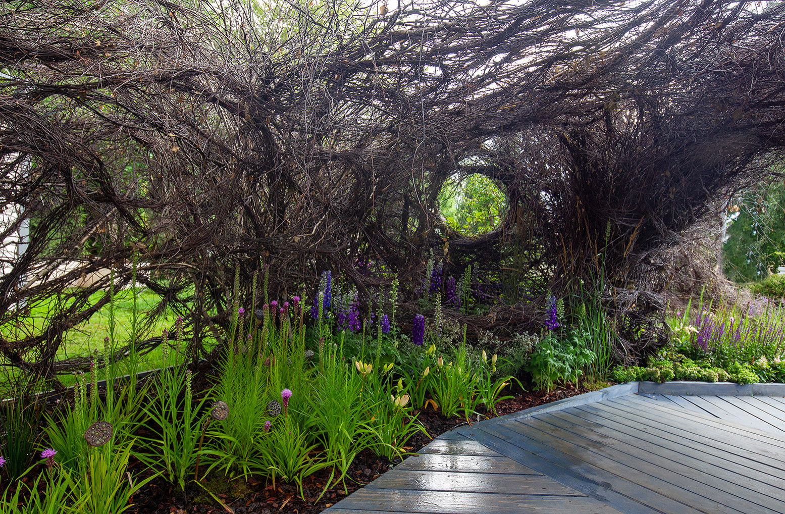 Фотосъемка Сада   по  Метрелинку на MFS 2019 Авторы М,Береснева М. ПРИНТЦ