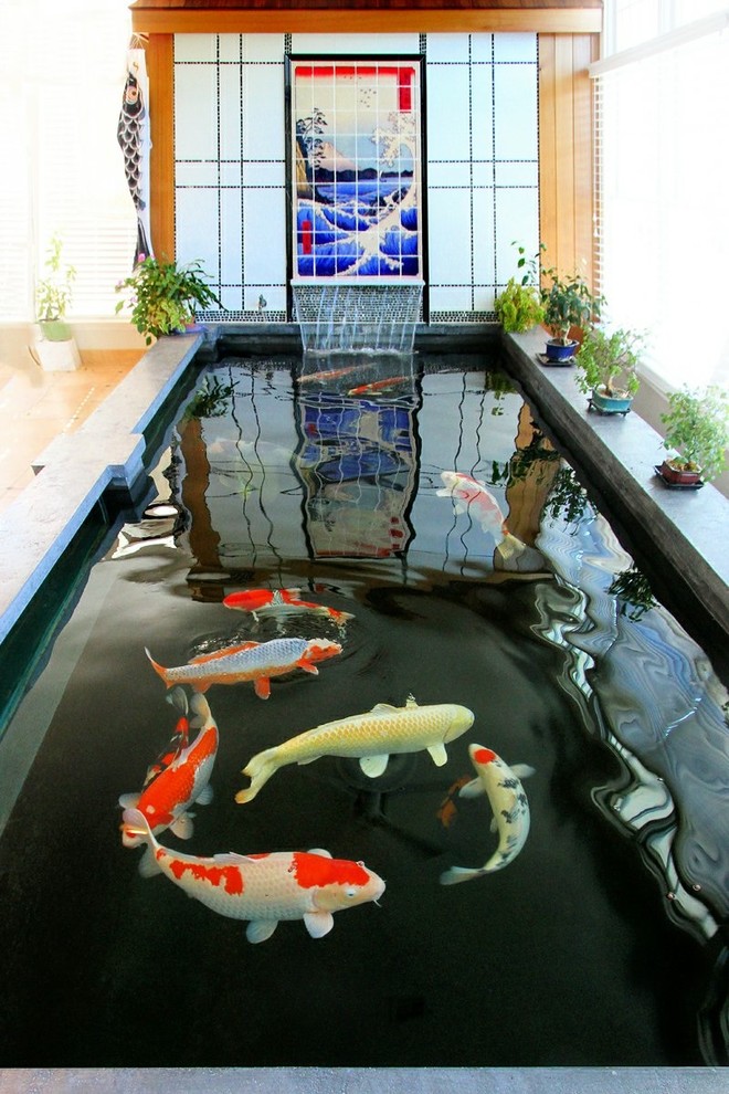 Indoor Koi Pond - Asian - Sunroom - New York - by Barlo & Associates